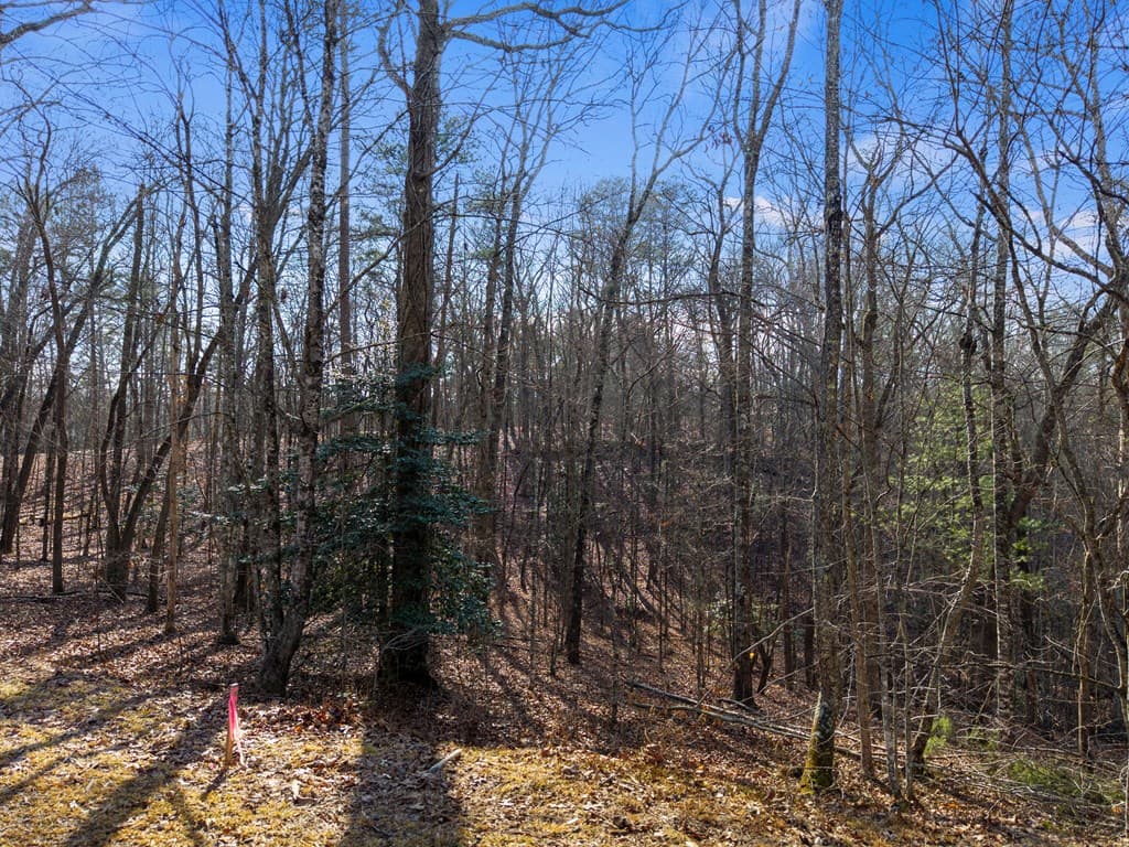 56 Robins Ridge, Blue Ridge GA 30513 - Photo