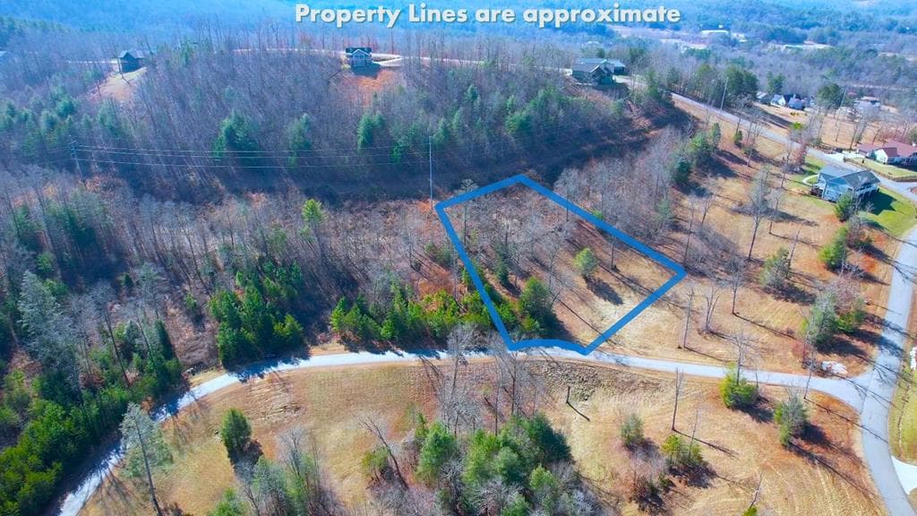 Lot 111 Katherine, Blairsville GA 30512 - Primary photo