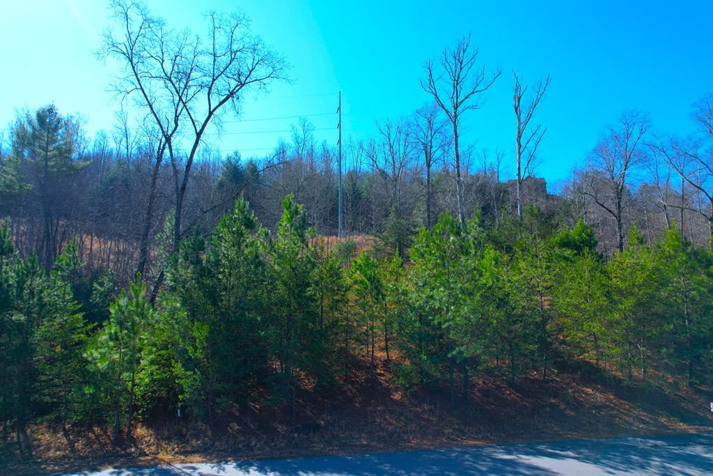 Lot 111 Katherine, Blairsville GA 30512 - Photo