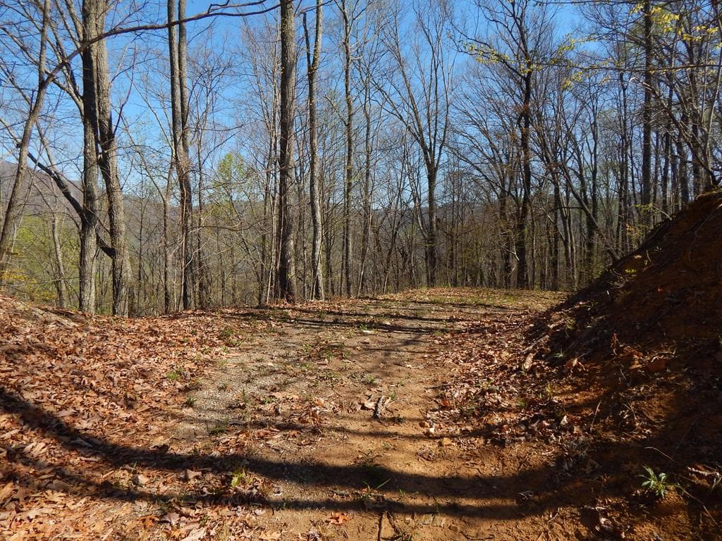 #1-3&2-3 Burnt Leaf Lane, Hayesville NC 28904 - Primary photo