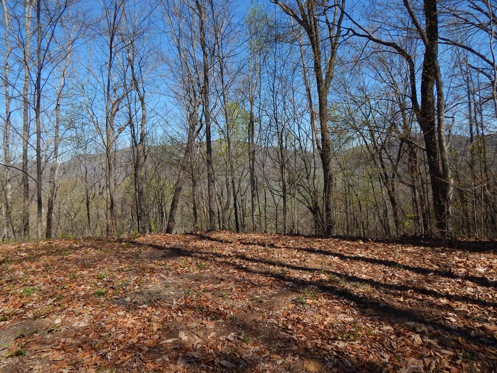 #1-3&2-3 Burnt Leaf Lane, Hayesville NC 28904 - Photo