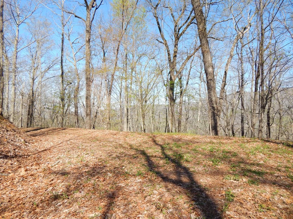 #1-3&2-3 Burnt Leaf Lane, Hayesville NC 28904 - Photo
