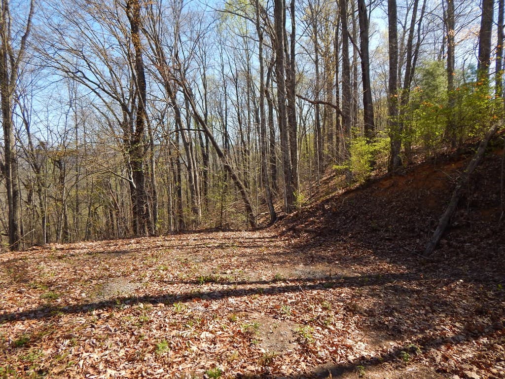 #1-3&2-3 Burnt Leaf Lane, Hayesville NC 28904 - Photo