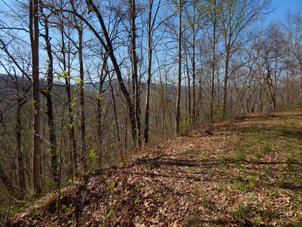 #13 & 14 Burnt Leaf Lane, Hayesville NC 28904 - Photo