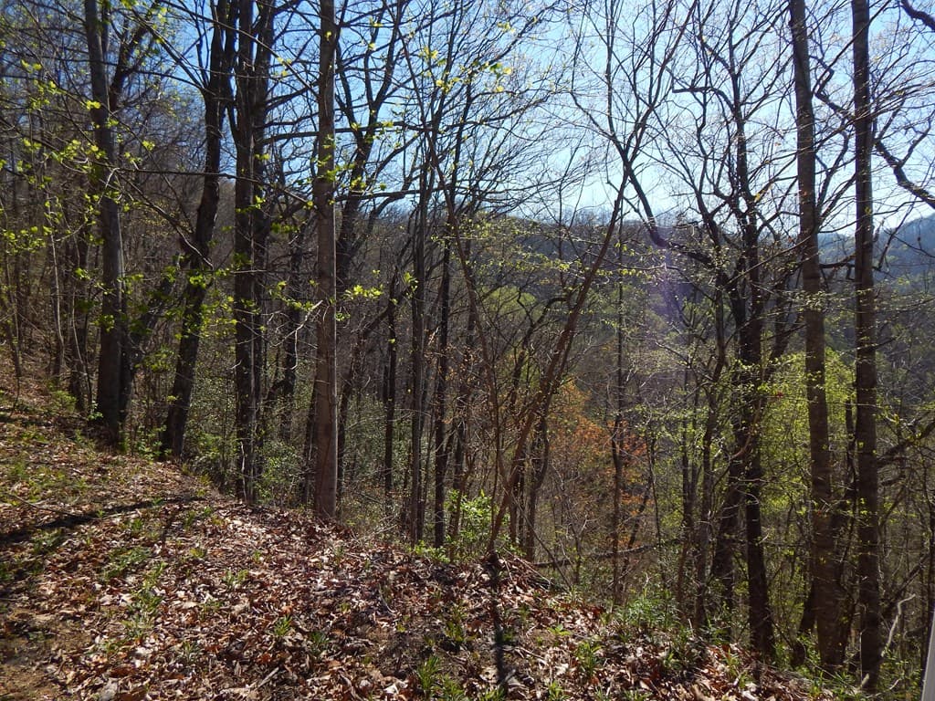 #13 & 14 Burnt Leaf Lane, Hayesville NC 28904 - Photo