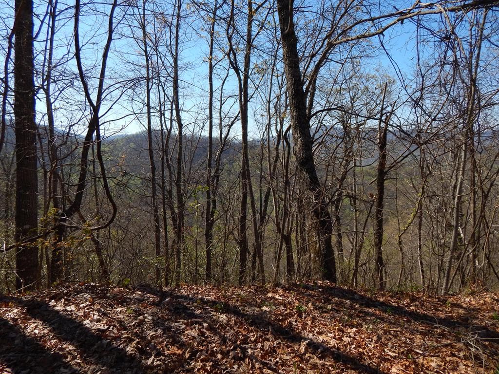 #13 & 14 Burnt Leaf Lane, Hayesville NC 28904 - Primary photo