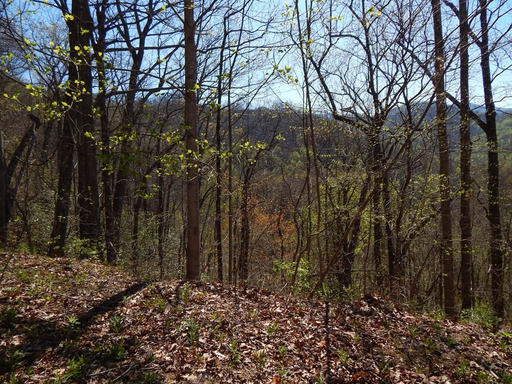 #13 & 14 Burnt Leaf Lane, Hayesville NC 28904 - Photo
