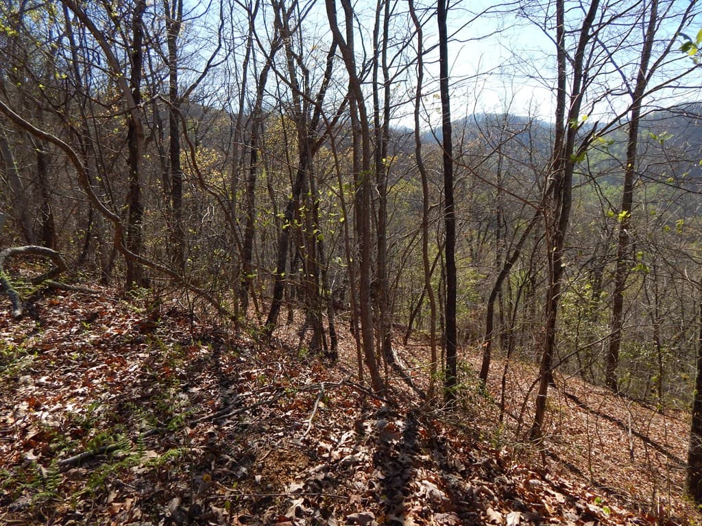 #13 & 14 Burnt Leaf Lane, Hayesville NC 28904 - Photo
