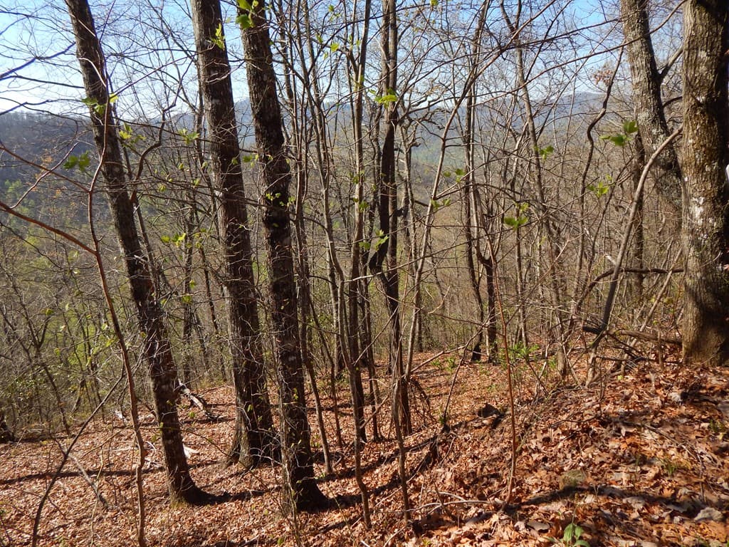 #13 & 14 Burnt Leaf Lane, Hayesville NC 28904 - Photo
