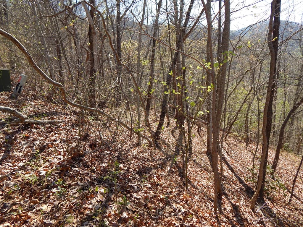 #13 & 14 Burnt Leaf Lane, Hayesville NC 28904 - Photo