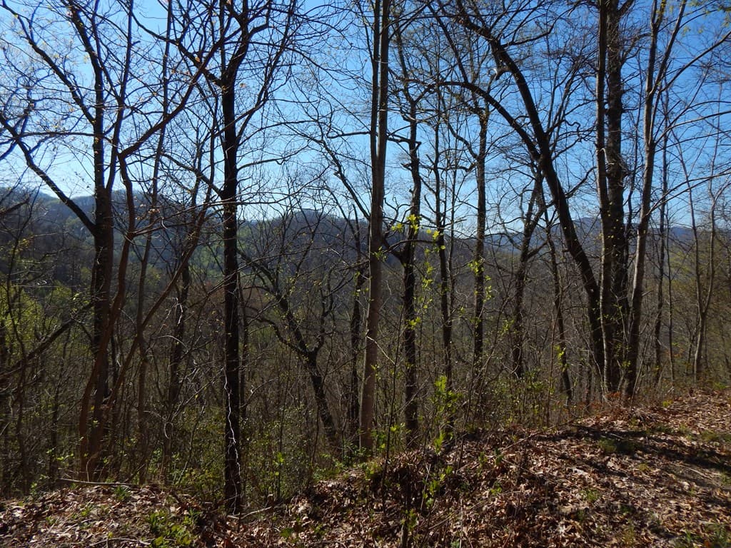 #13 & 14 Burnt Leaf Lane, Hayesville NC 28904 - Photo