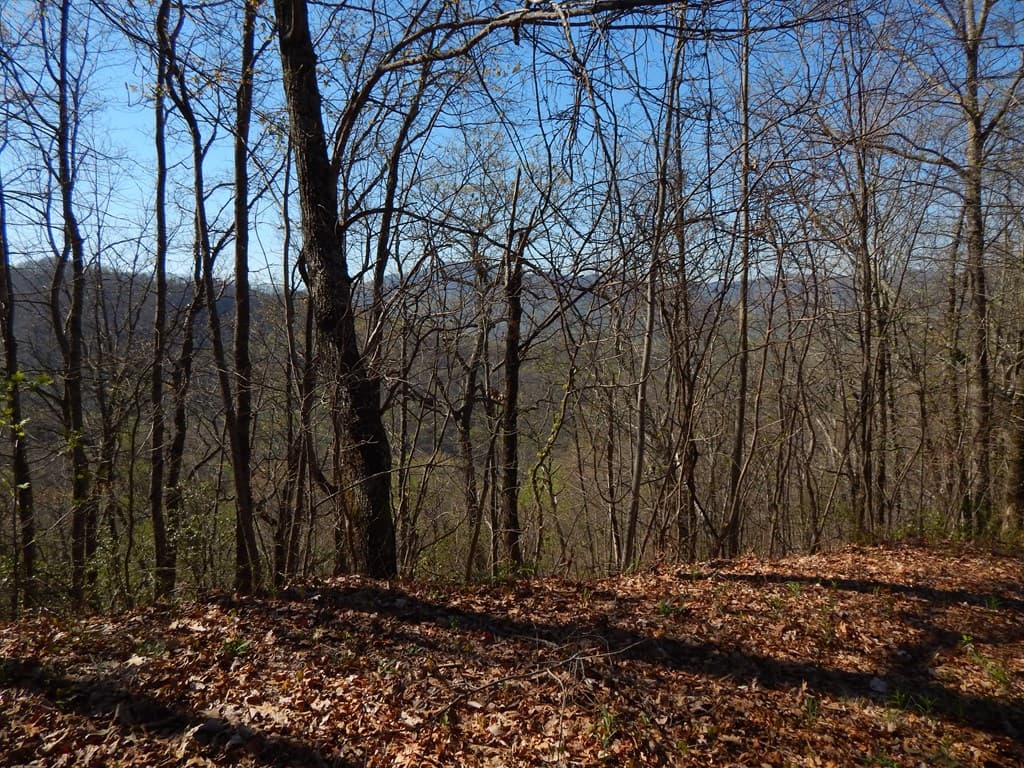 #13 & 14 Burnt Leaf Lane, Hayesville NC 28904 - Photo