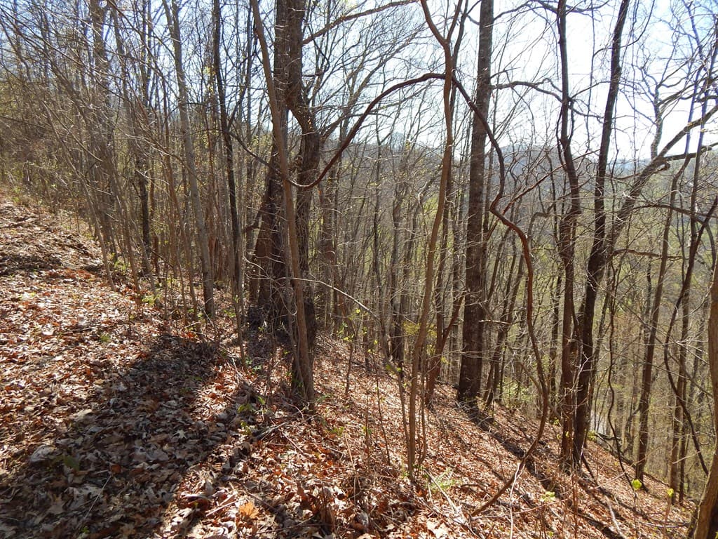 16-18 Burnt Leaf Lane, Hayesville NC 28904 - Photo