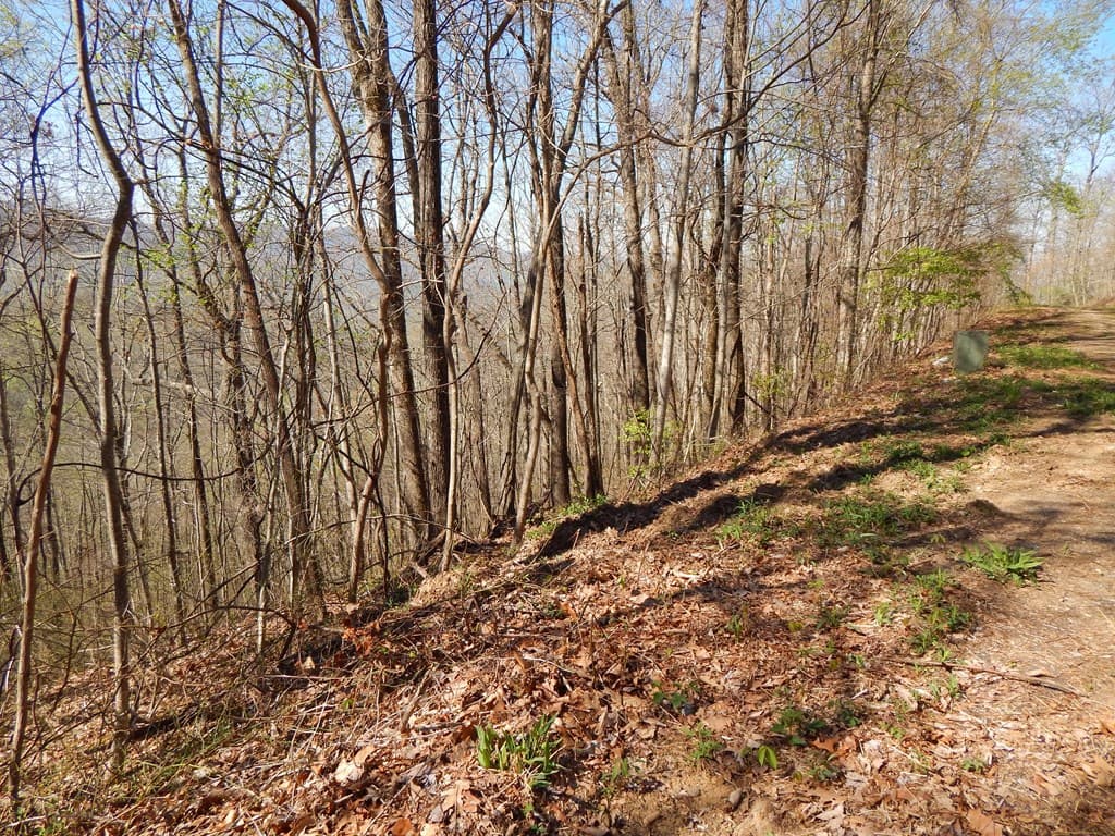 16-18 Burnt Leaf Lane, Hayesville NC 28904 - Photo
