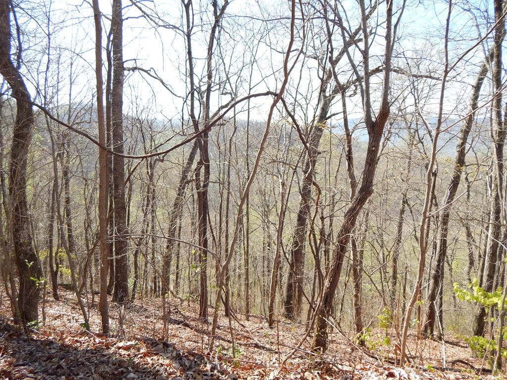 16-18 Burnt Leaf Lane, Hayesville NC 28904 - Primary photo
