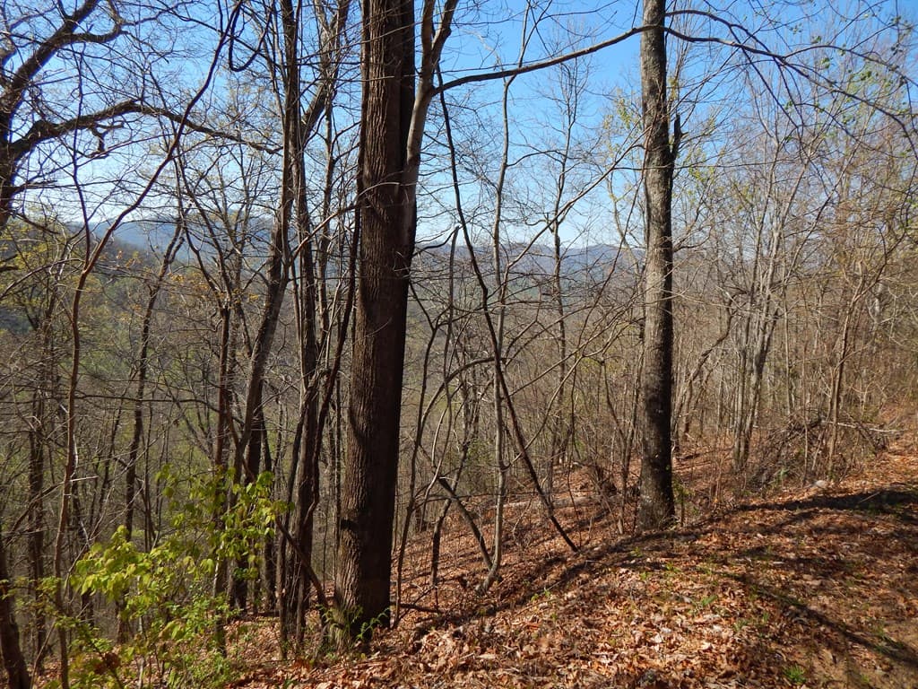 16-18 Burnt Leaf Lane, Hayesville NC 28904 - Photo