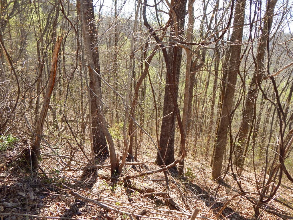 16-18 Burnt Leaf Lane, Hayesville NC 28904 - Photo