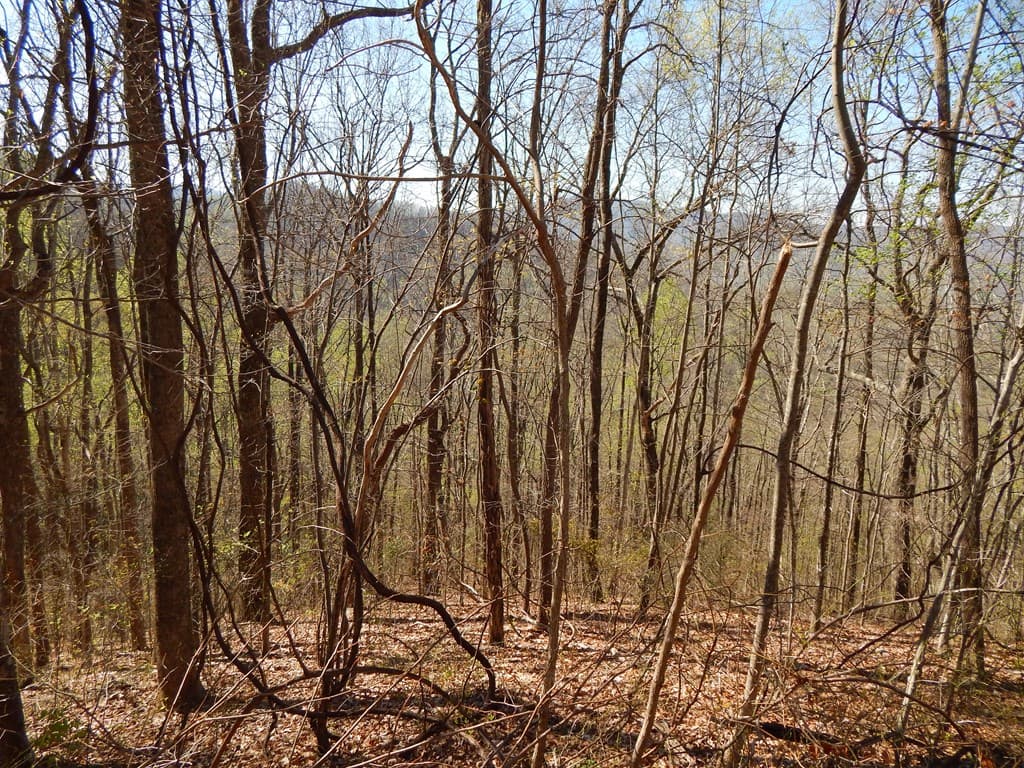 16-18 Burnt Leaf Lane, Hayesville NC 28904 - Photo