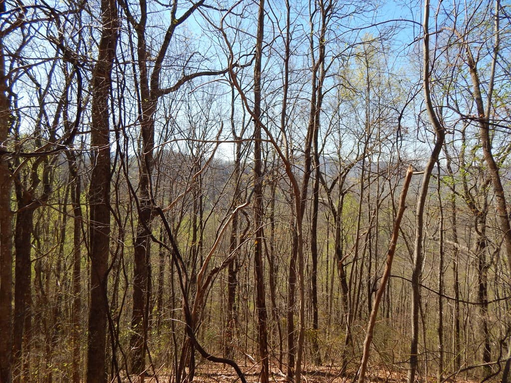 16-18 Burnt Leaf Lane, Hayesville NC 28904 - Photo