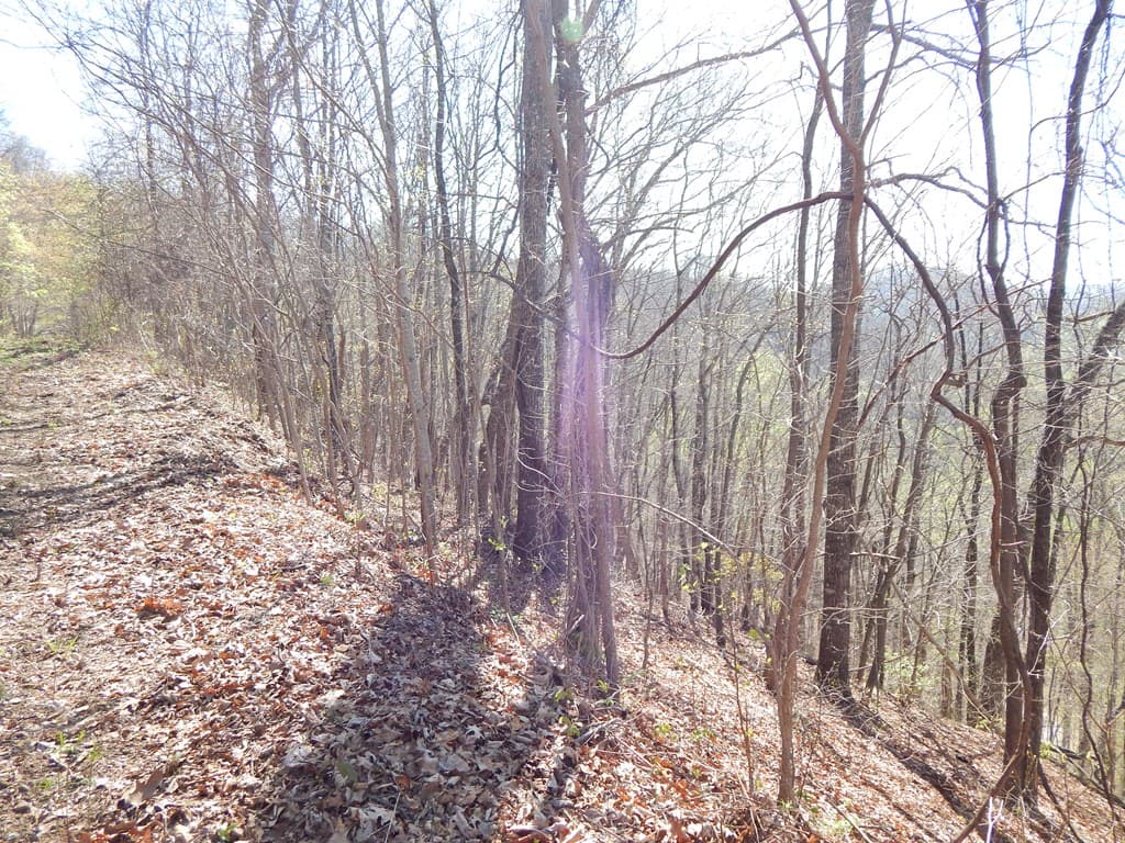 16-18 Burnt Leaf Lane, Hayesville NC 28904 - Photo