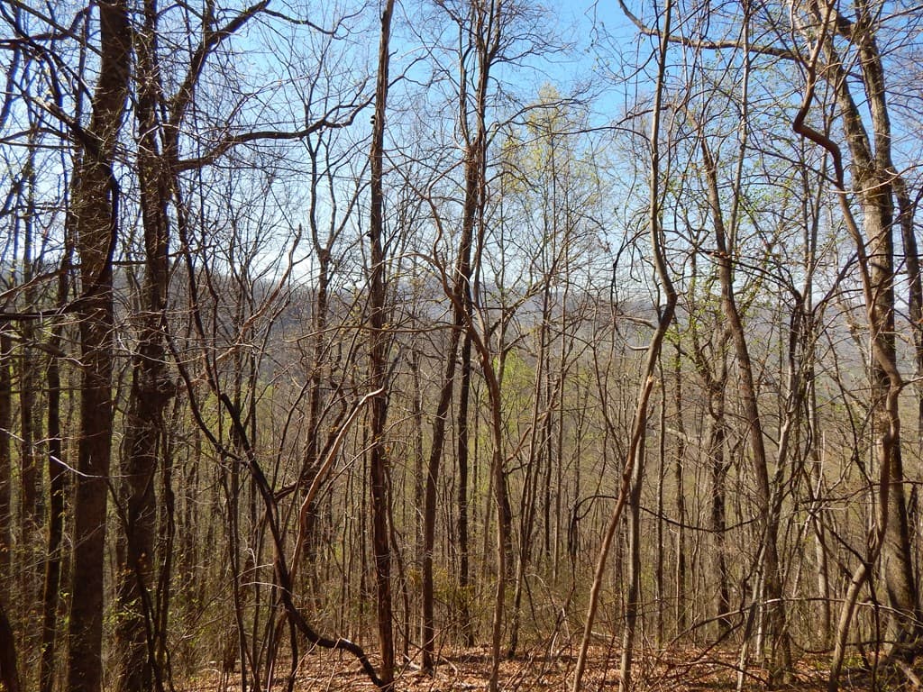 16-18 Burnt Leaf Lane, Hayesville NC 28904 - Photo