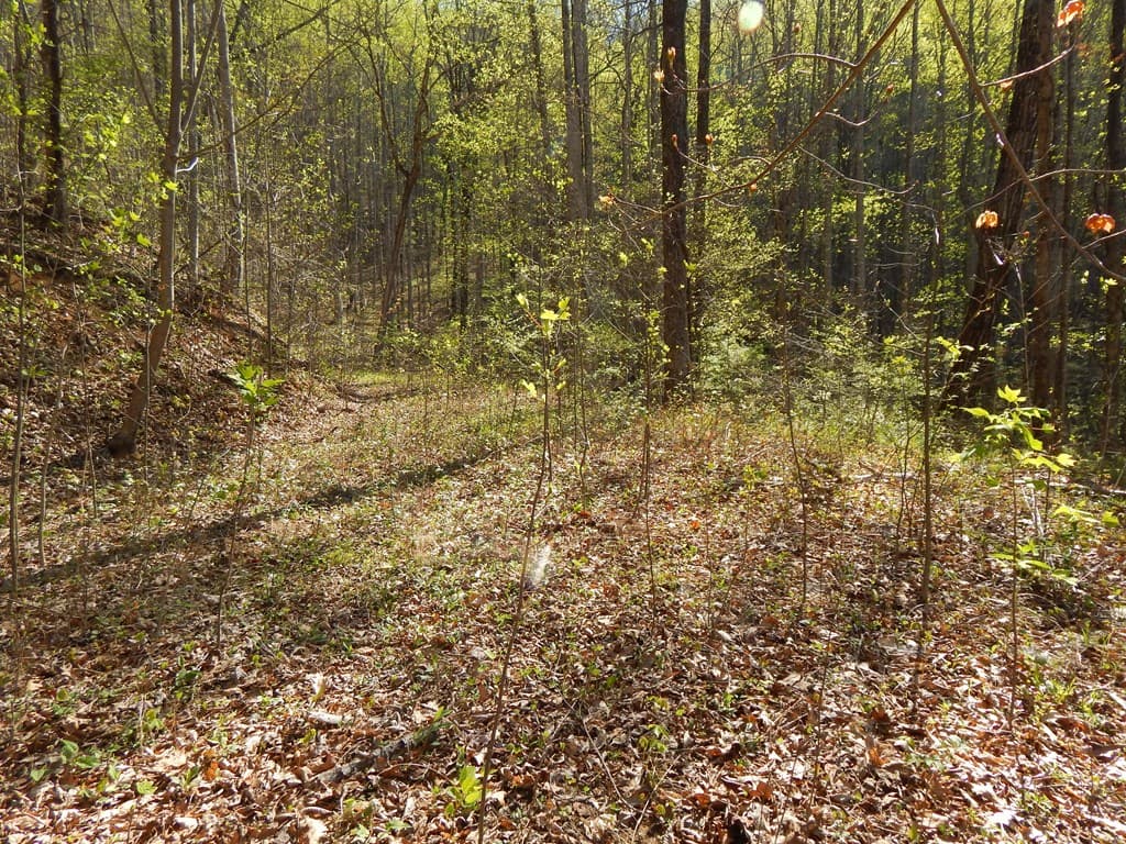 12-2,15& Burnt Leaf Lane, Hayesville NC 28904 - Photo