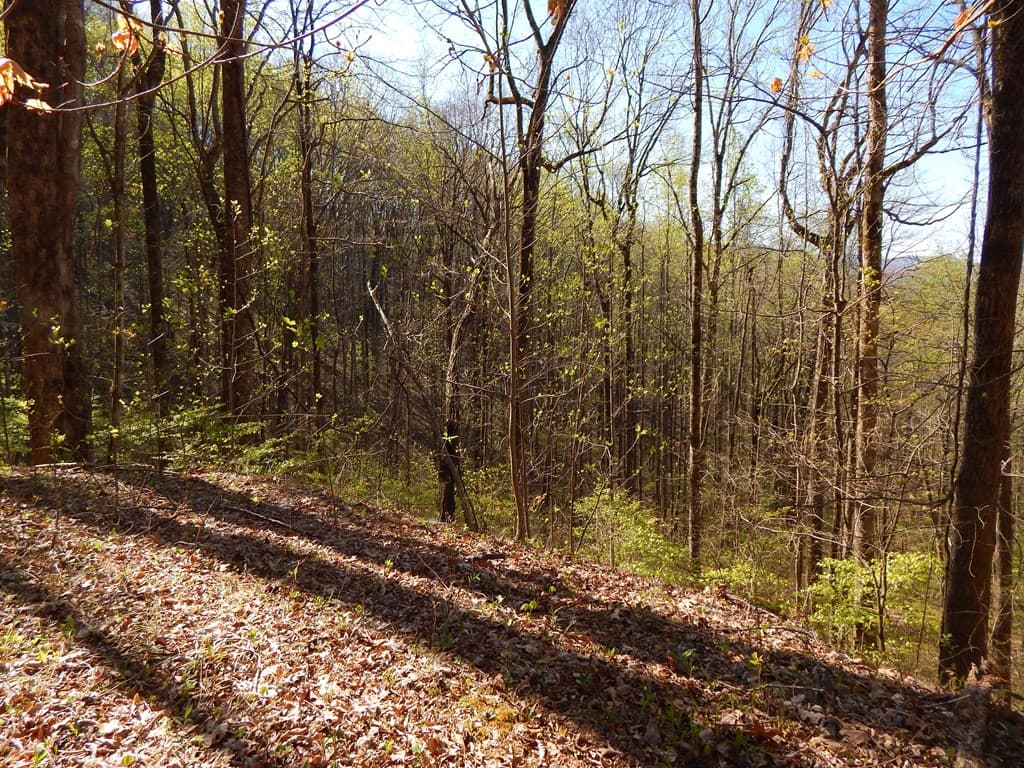 12-2,15& Burnt Leaf Lane, Hayesville NC 28904 - Photo