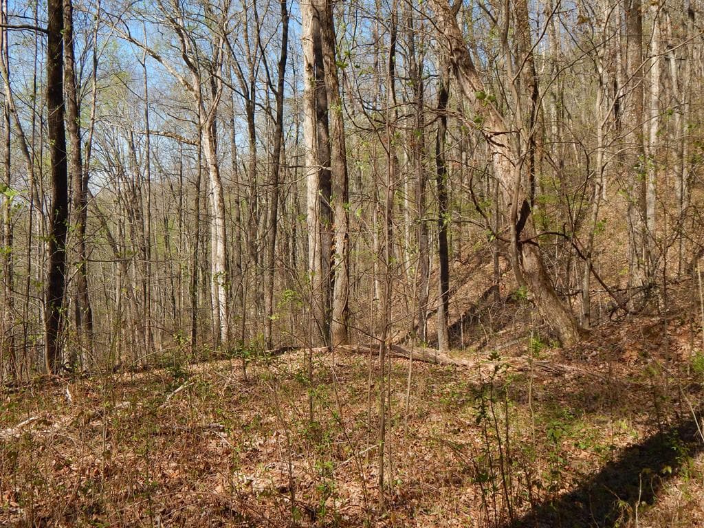 12-2,15& Burnt Leaf Lane, Hayesville NC 28904 - Primary photo