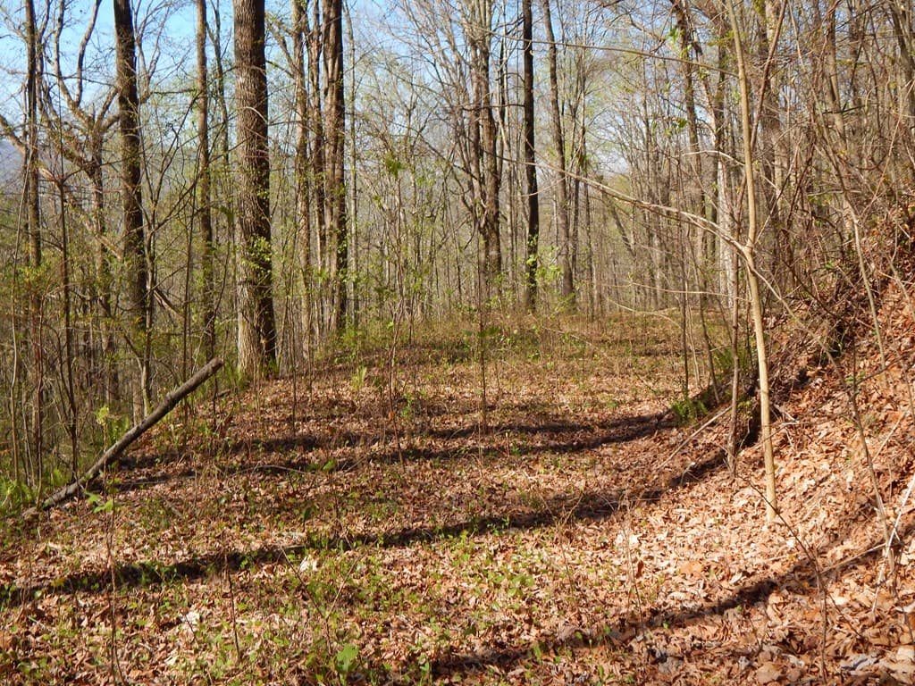 12-2,15& Burnt Leaf Lane, Hayesville NC 28904 - Photo