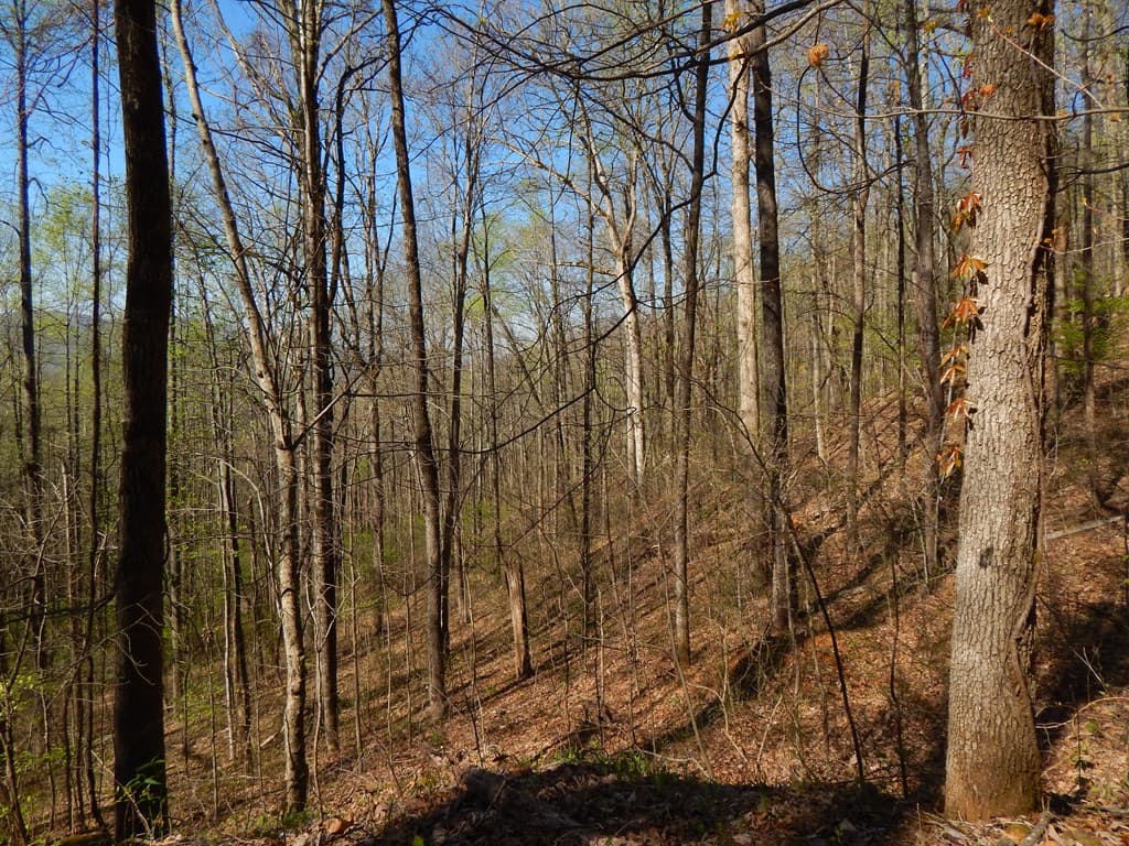 12-2,15& Burnt Leaf Lane, Hayesville NC 28904 - Photo