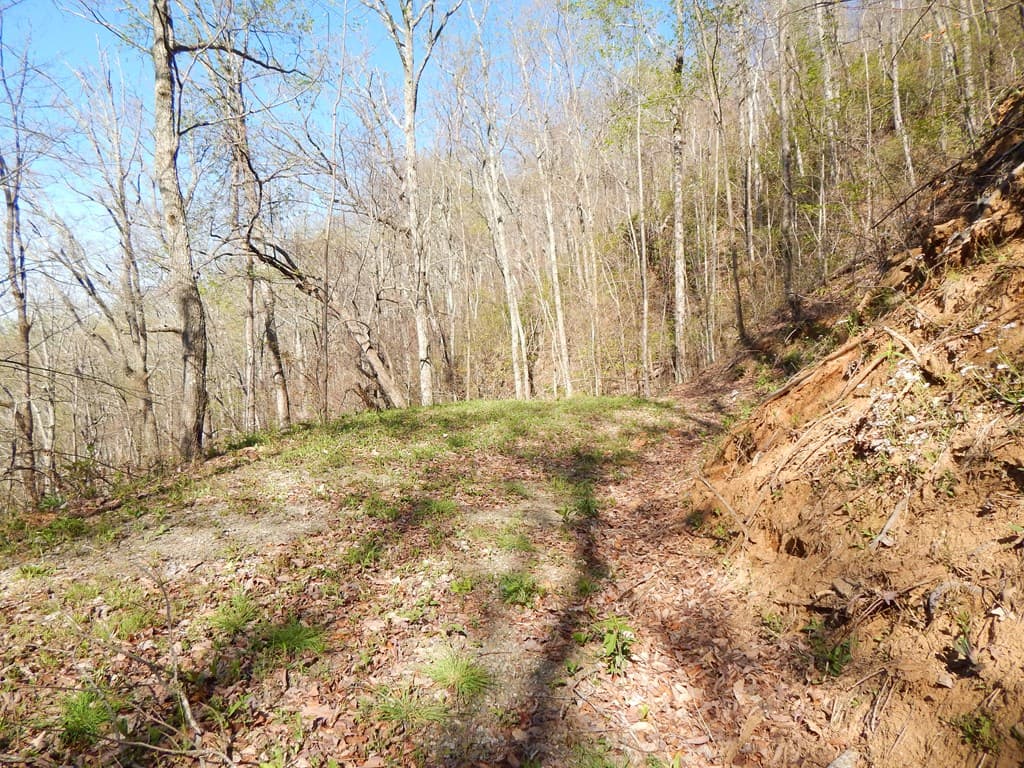 8-2-10-2 Tree Top Drive, Hayesville NC 28904 - Photo
