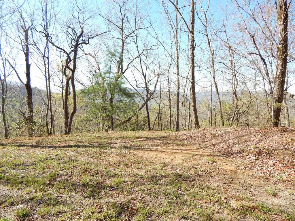 8-2-10-2 Tree Top Drive, Hayesville NC 28904 - Primary photo