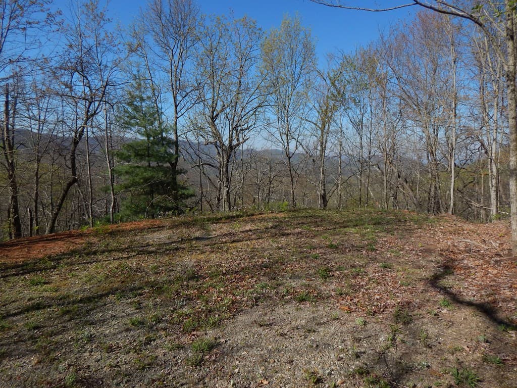 8-2-10-2 Tree Top Drive, Hayesville NC 28904 - Photo