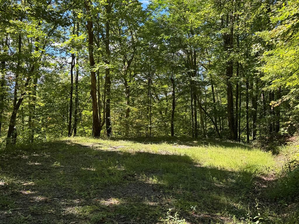 8-2-10-2 Tree Top Drive, Hayesville NC 28904 - Photo