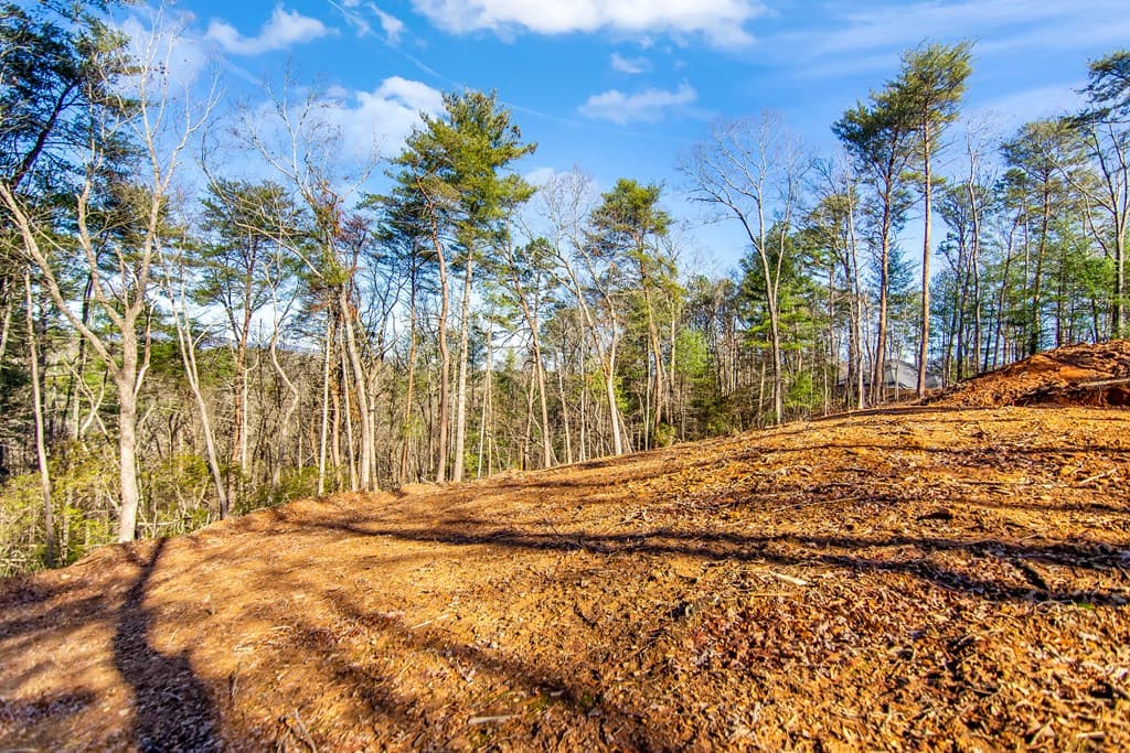3.12 ACR Eric Lane, Ellijay GA 30540 - Photo