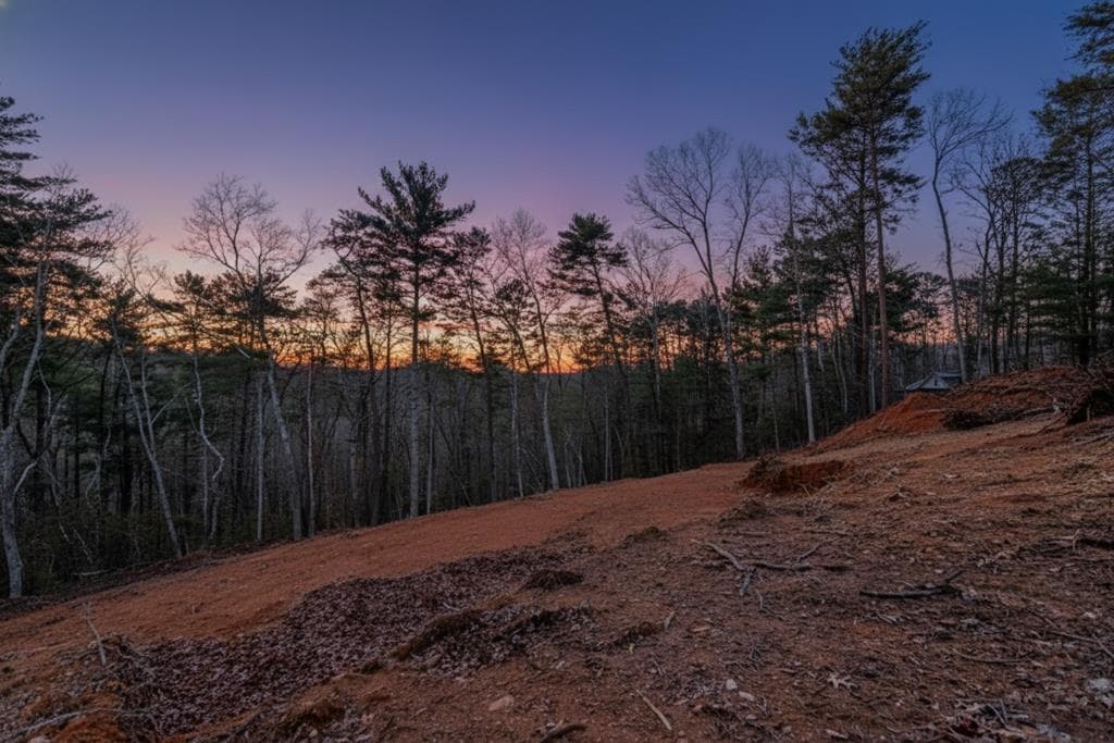 3.12 ACR Eric Lane, Ellijay GA 30540 - Photo