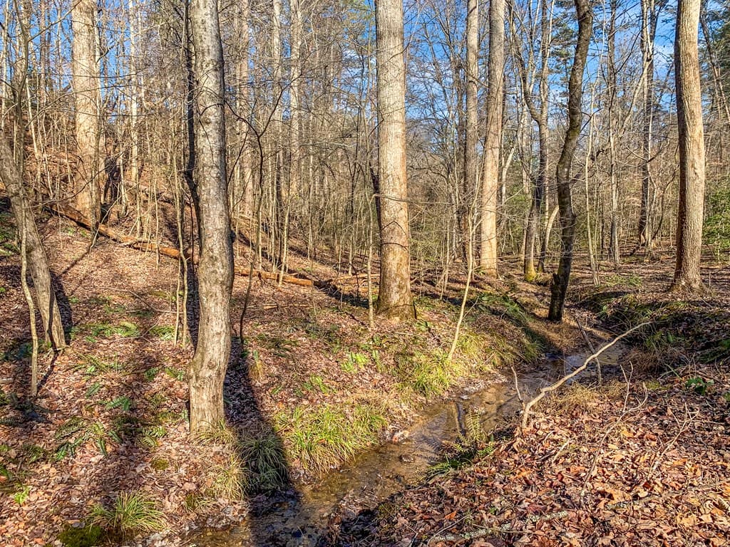 3.12 ACR Eric Lane, Ellijay GA 30540 - Photo