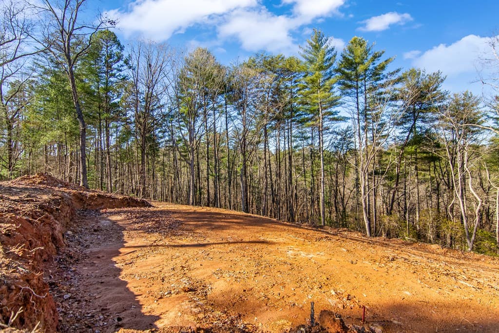 3.12 ACR Eric Lane, Ellijay GA 30540 - Photo