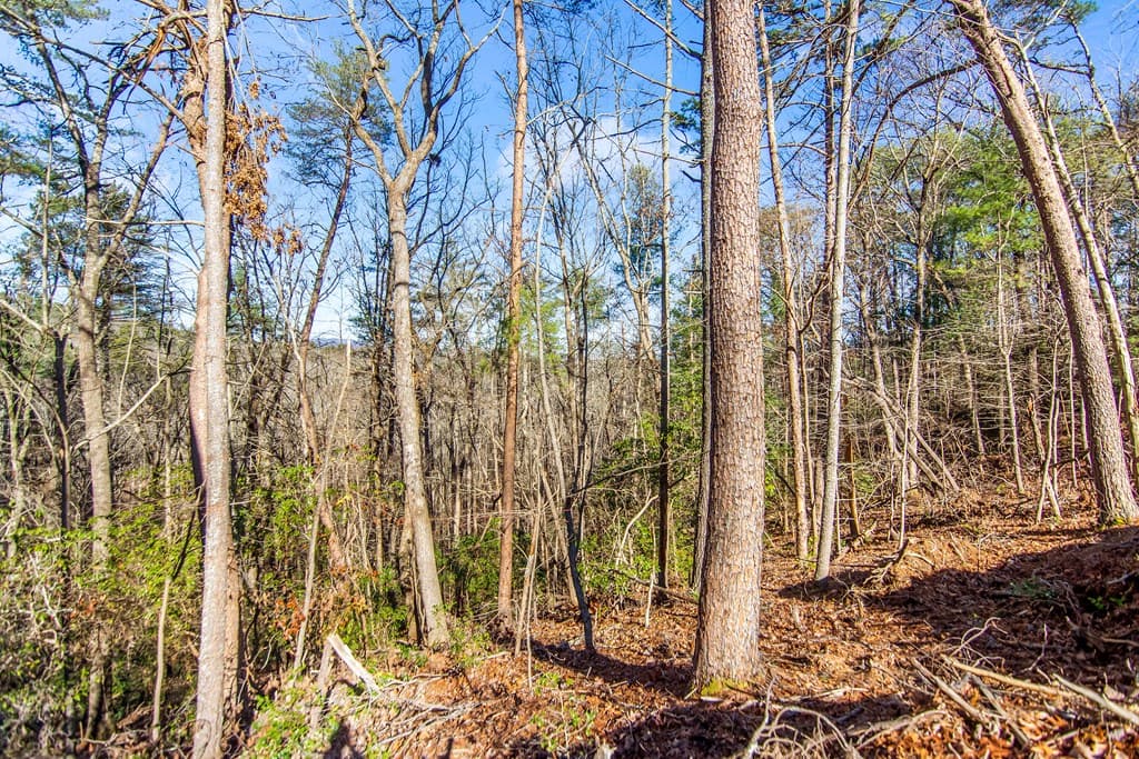 3.12 ACR Eric Lane, Ellijay GA 30540 - Photo