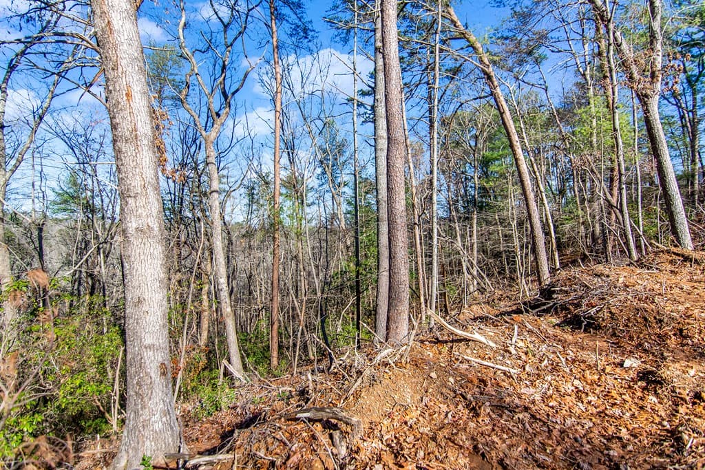 3.12 ACR Eric Lane, Ellijay GA 30540 - Photo