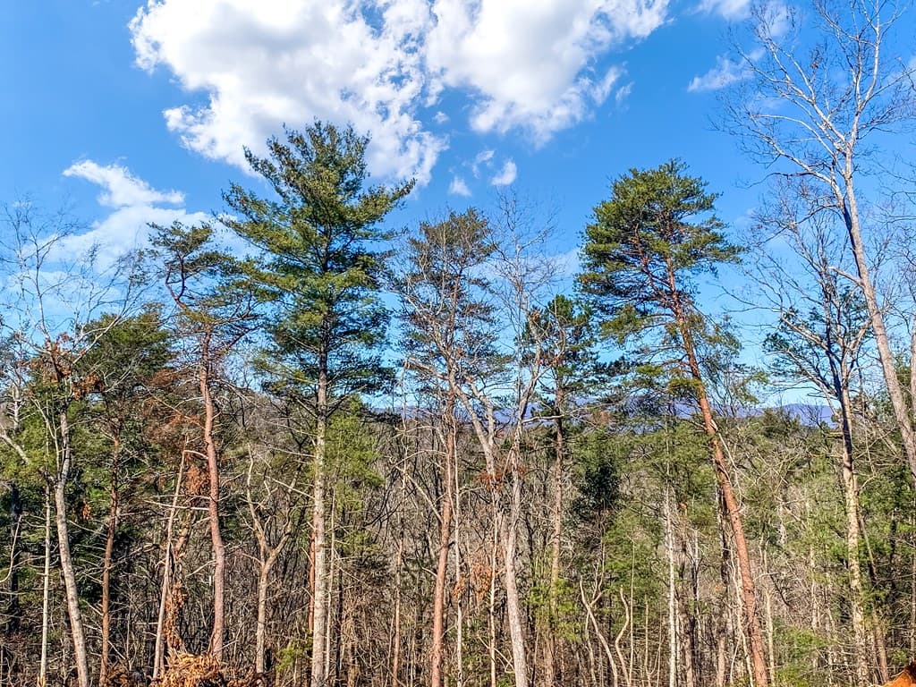 3.12 ACR Eric Lane, Ellijay GA 30540 - Photo