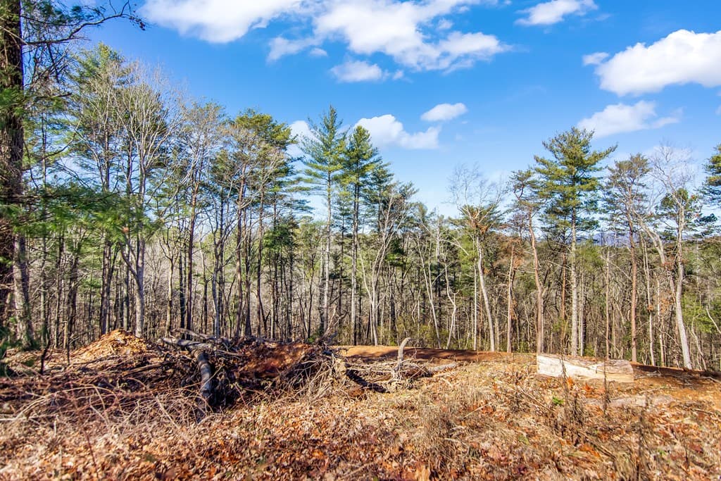 3.12 ACR Eric Lane, Ellijay GA 30540 - Photo