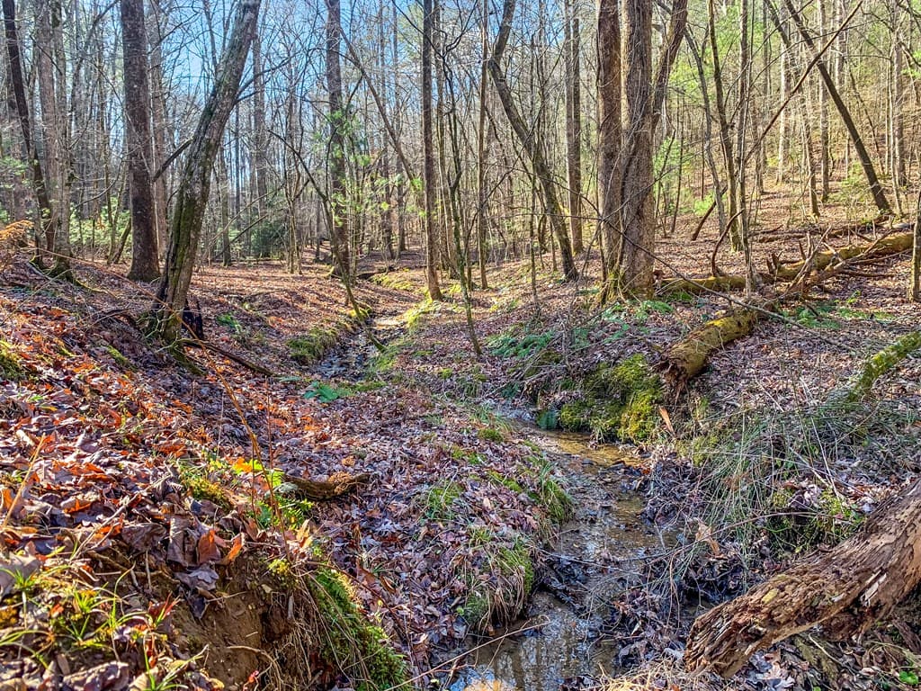 3.12 ACR Eric Lane, Ellijay GA 30540 - Photo