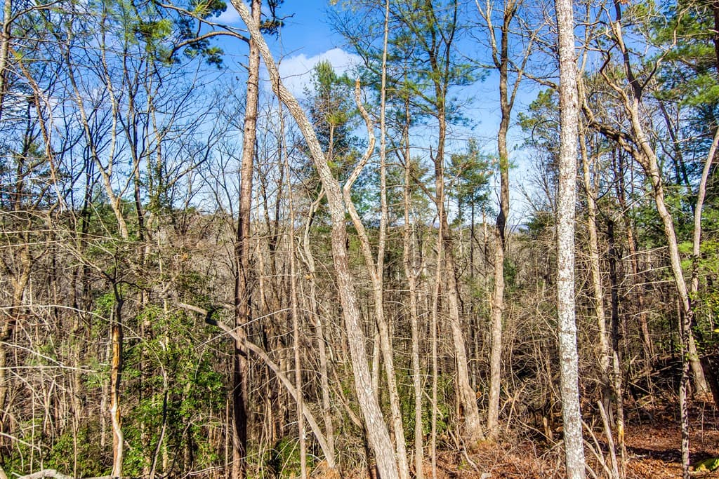 3.12 ACR Eric Lane, Ellijay GA 30540 - Photo