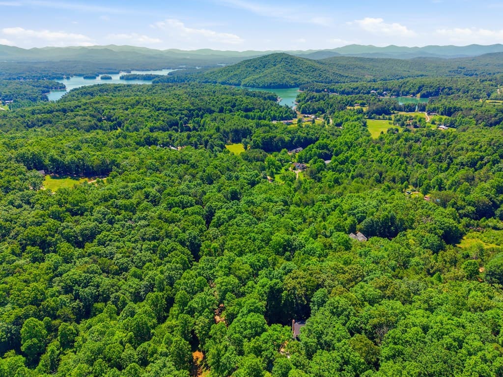 756 Gordon Thomas Road, Blairsville GA 30512 - Photo
