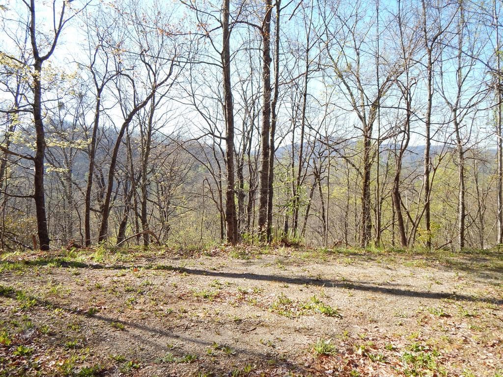 #11-2&12 Tree Top Drive, Hayesville NC 28904 - Primary photo