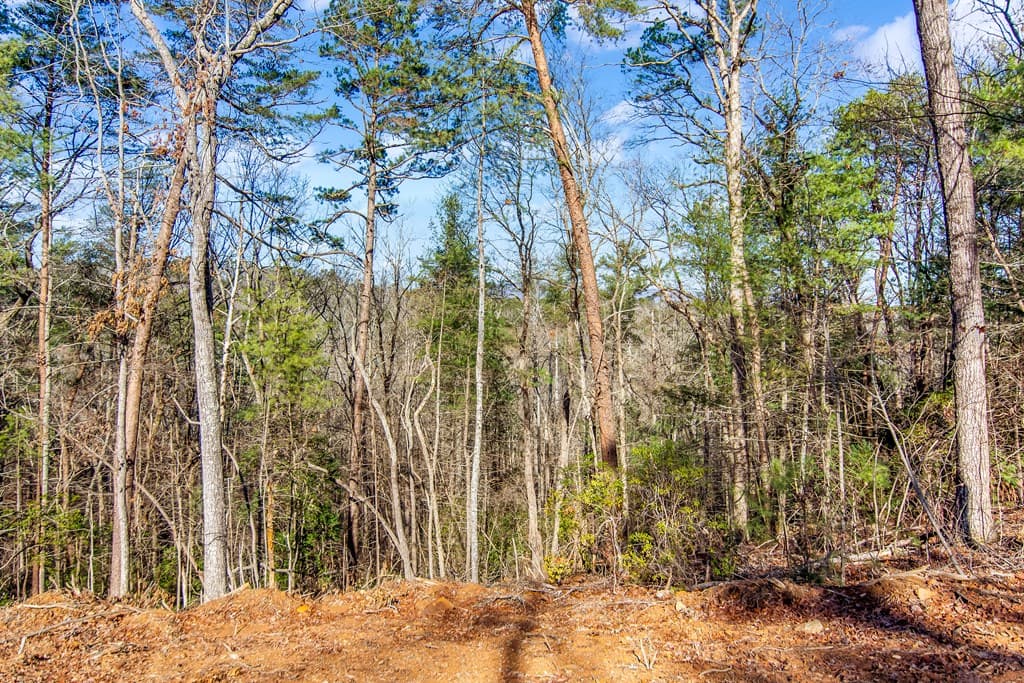 LT 10R Whispering Oaks Drive, Ellijay GA 30540 - Photo