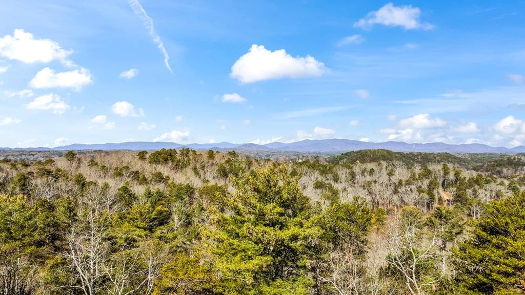 LT 10R Whispering Oaks Drive, Ellijay GA 30540 - Photo
