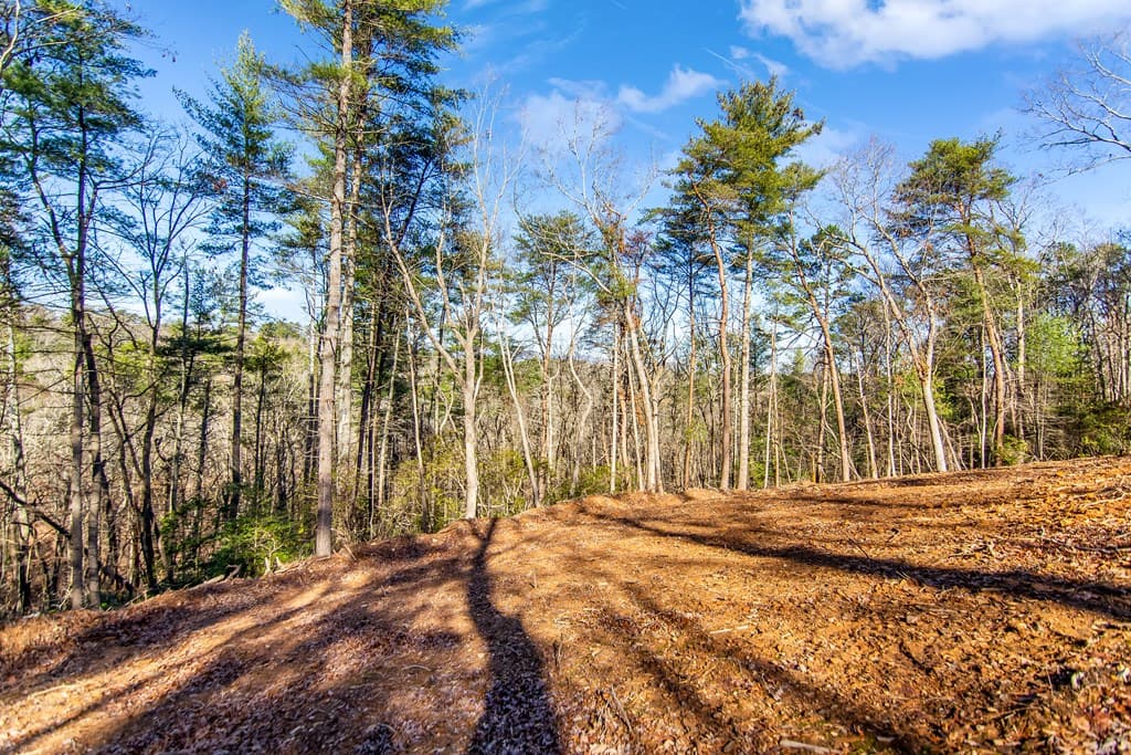 LT 10R Whispering Oaks Drive, Ellijay GA 30540 - Photo
