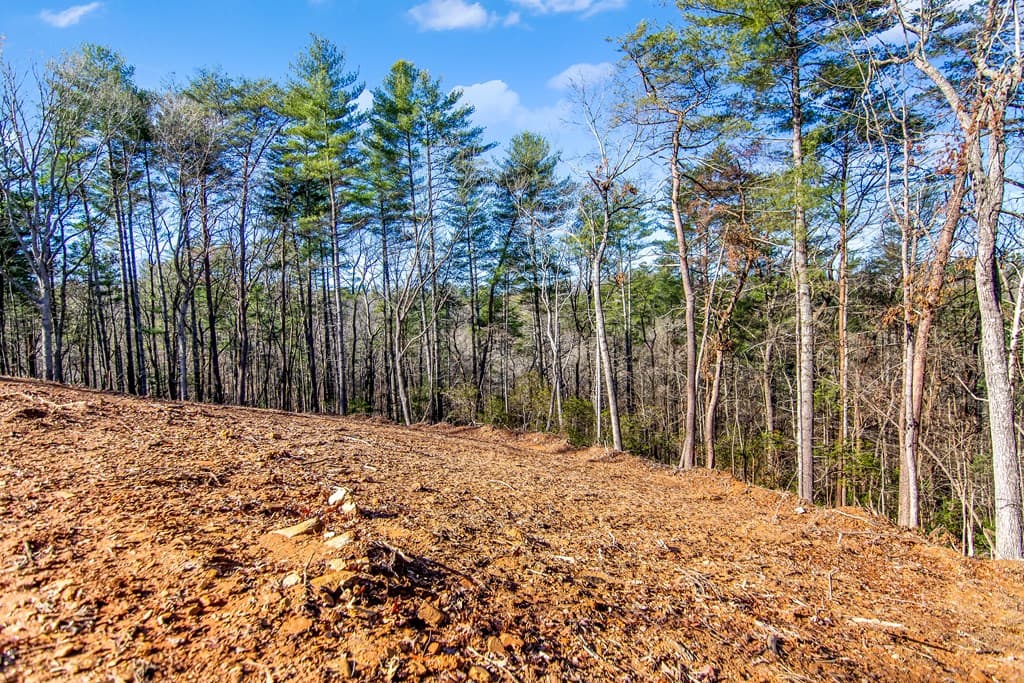 LT 10R Whispering Oaks Drive, Ellijay GA 30540 - Photo
